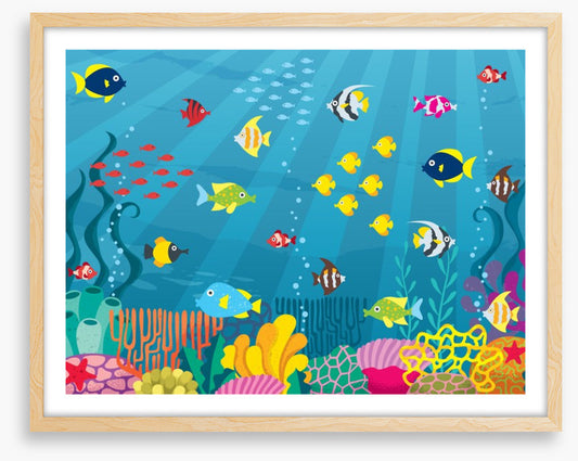 School on the reef