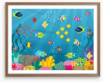 School on the reef