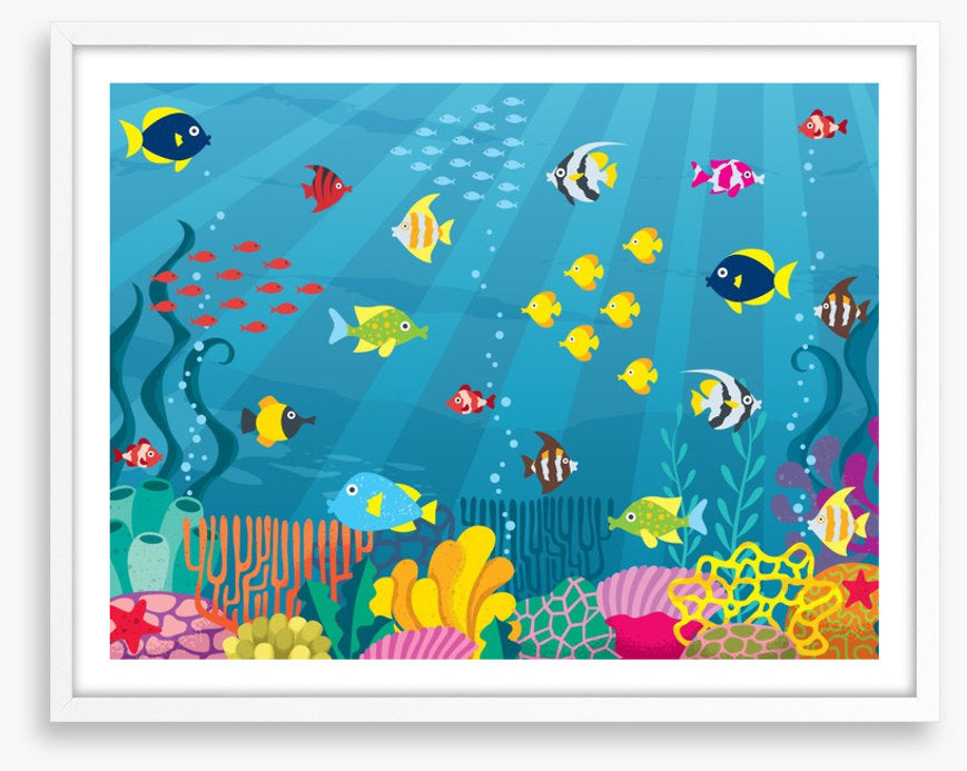 School on the reef