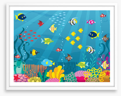 School on the reef