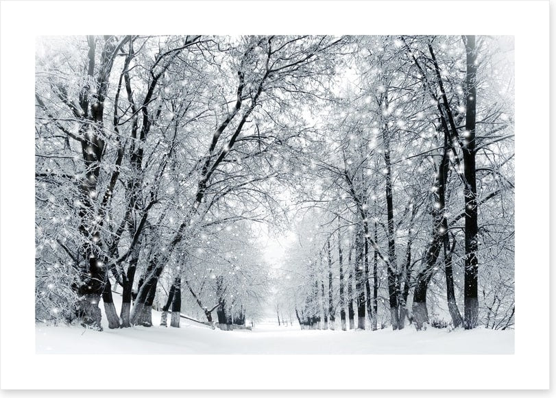 Magical snowstorm