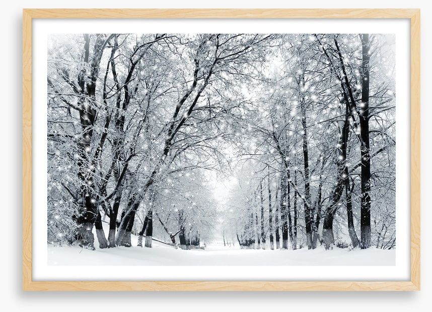 Magical snowstorm