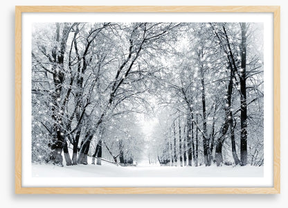 Magical snowstorm