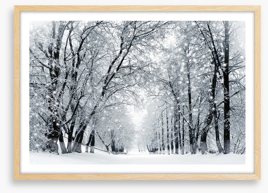 Magical snowstorm