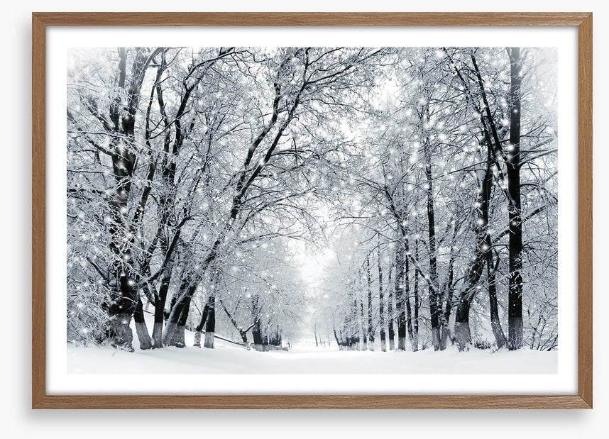 Magical snowstorm