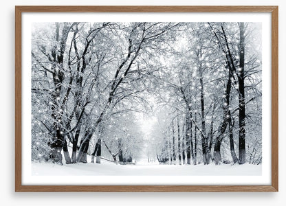 Magical snowstorm