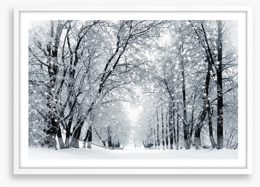 Magical snowstorm