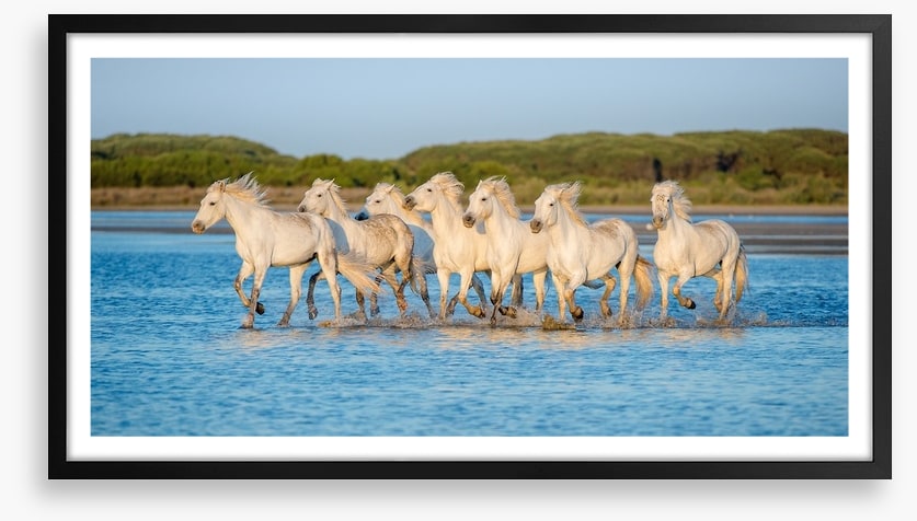 Mammals