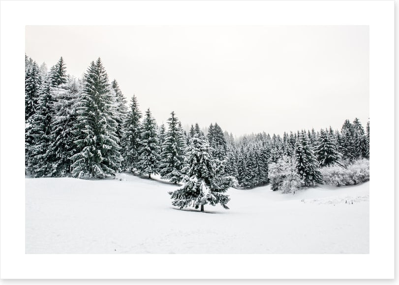 A lonely landscape