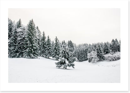 A lonely landscape