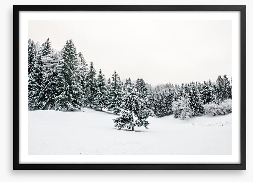 A lonely landscape