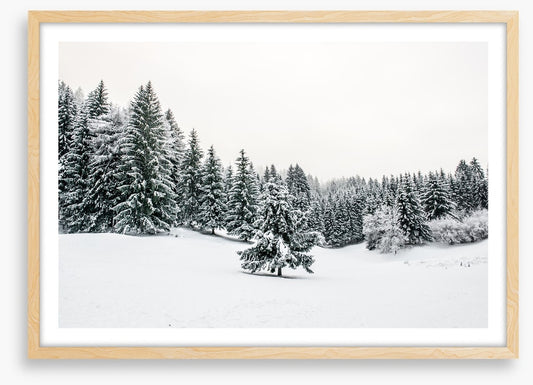 A lonely landscape