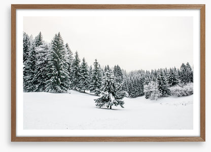 A lonely landscape