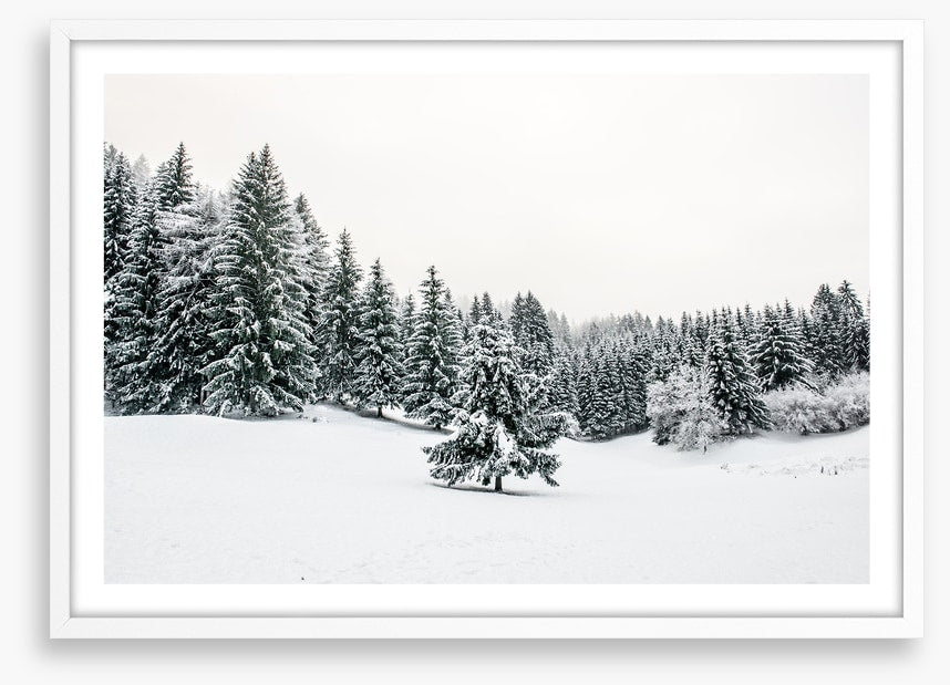 A lonely landscape