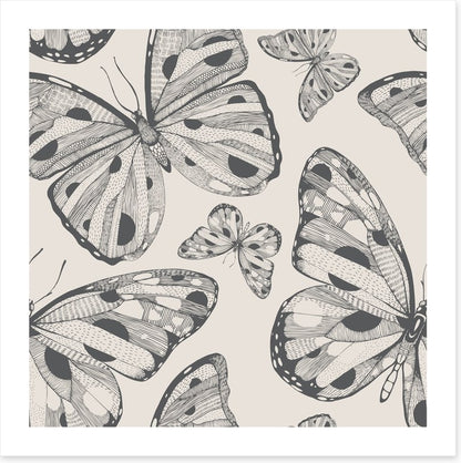 Butterflies
