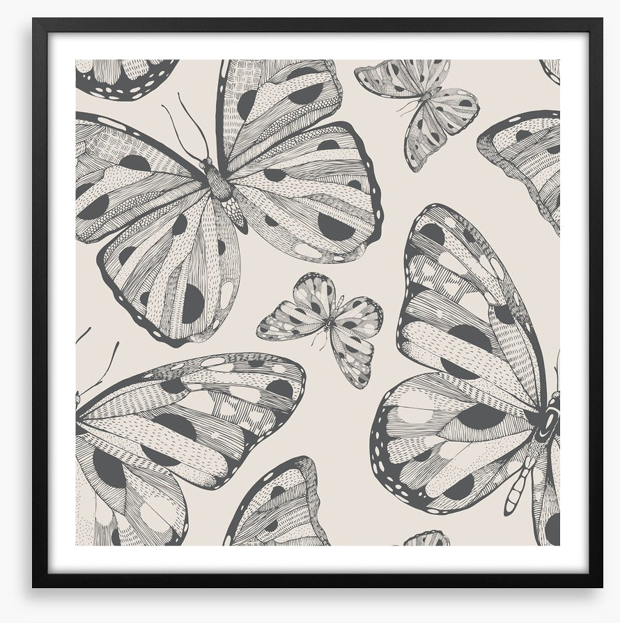 Butterflies