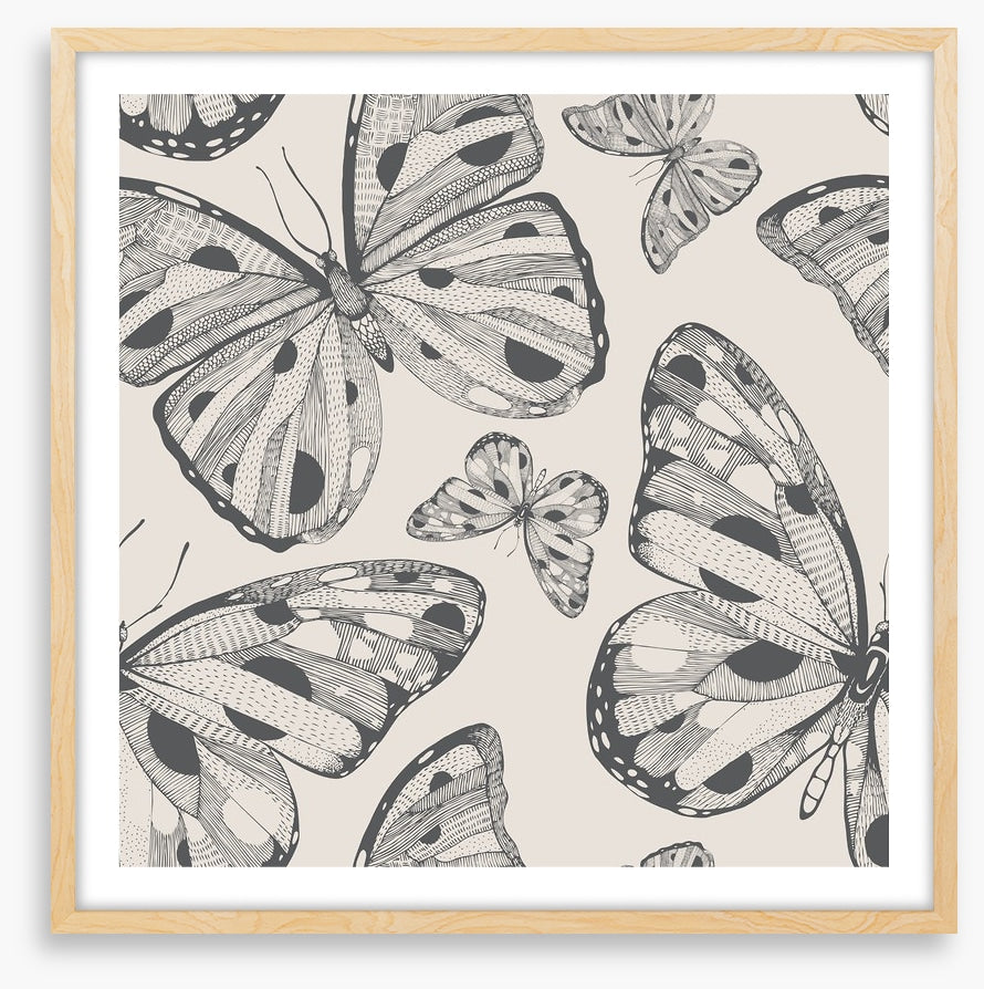 Butterflies