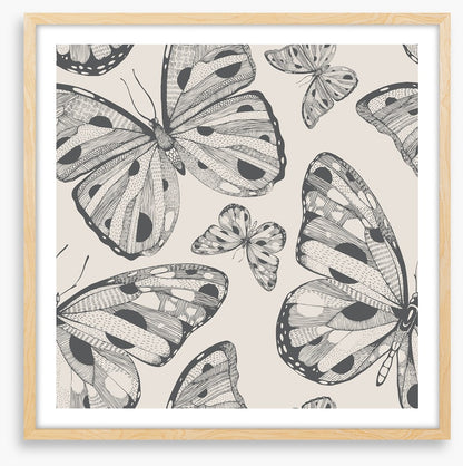 Butterflies