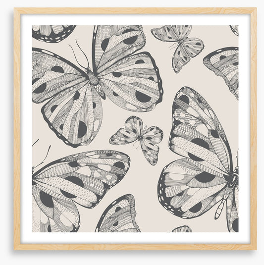 Butterflies