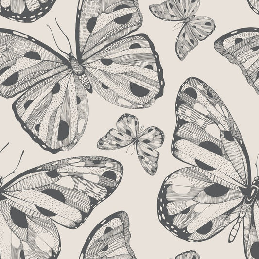 Butterflies