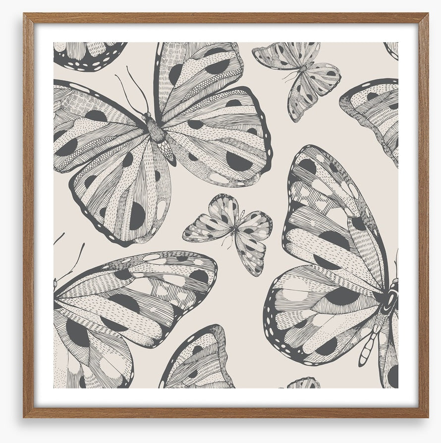 Butterflies