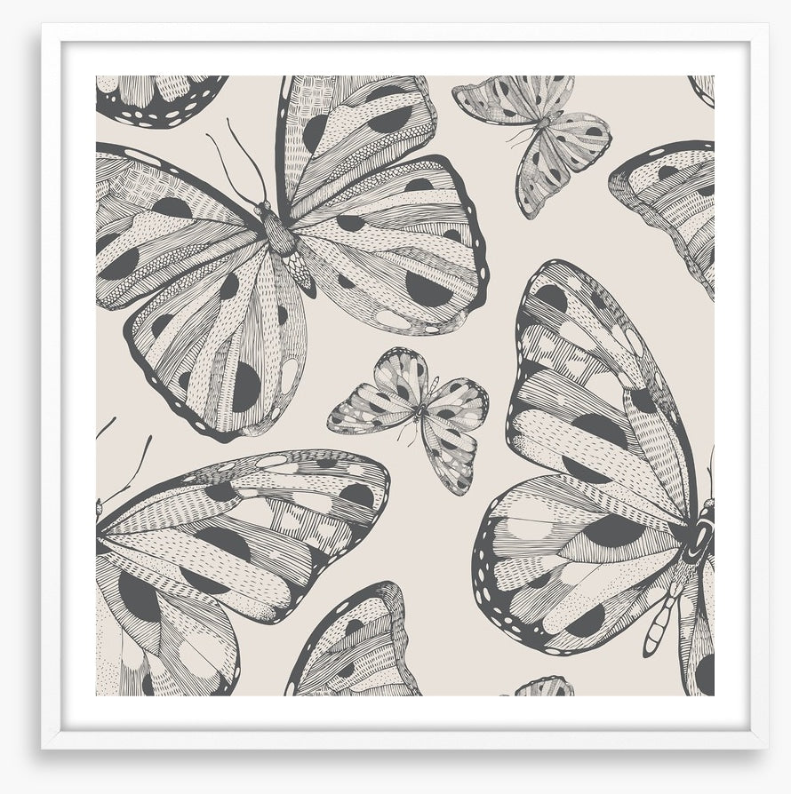 Butterflies