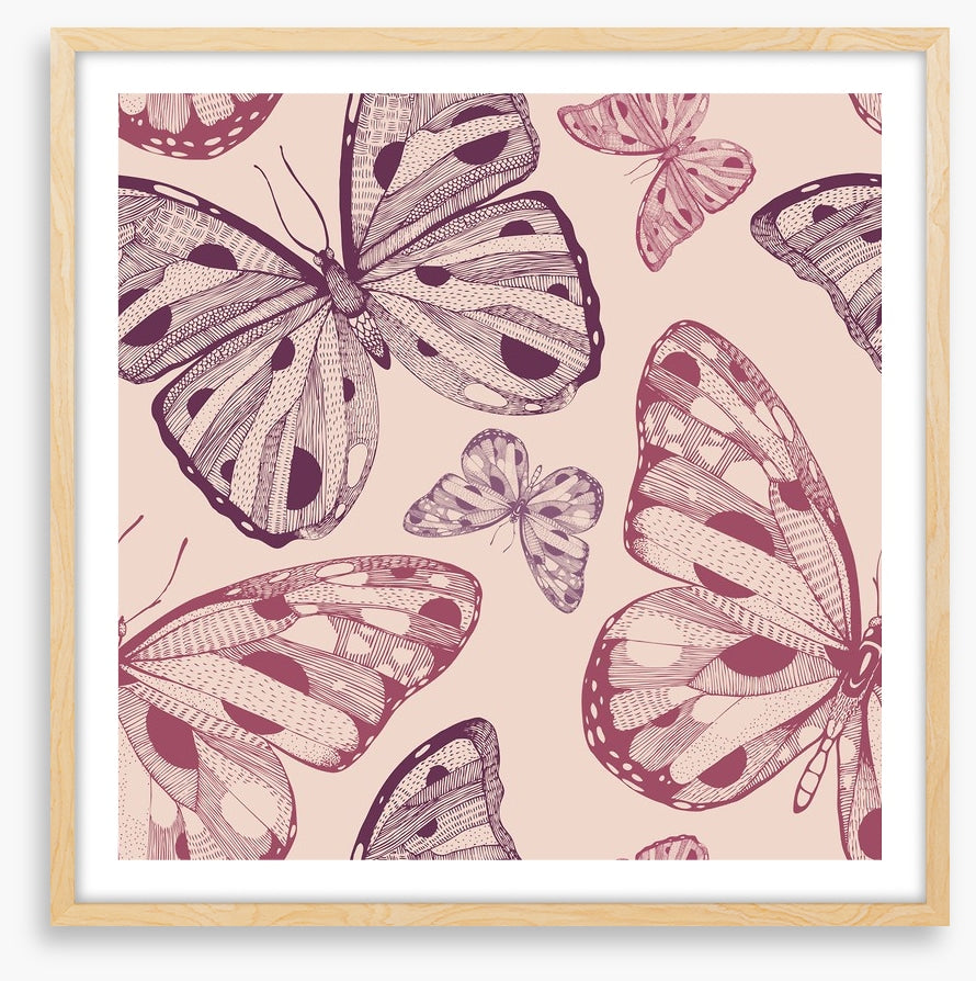 Butterflies