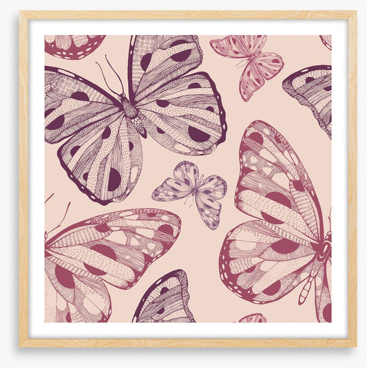 Butterflies