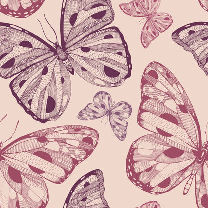 Butterflies