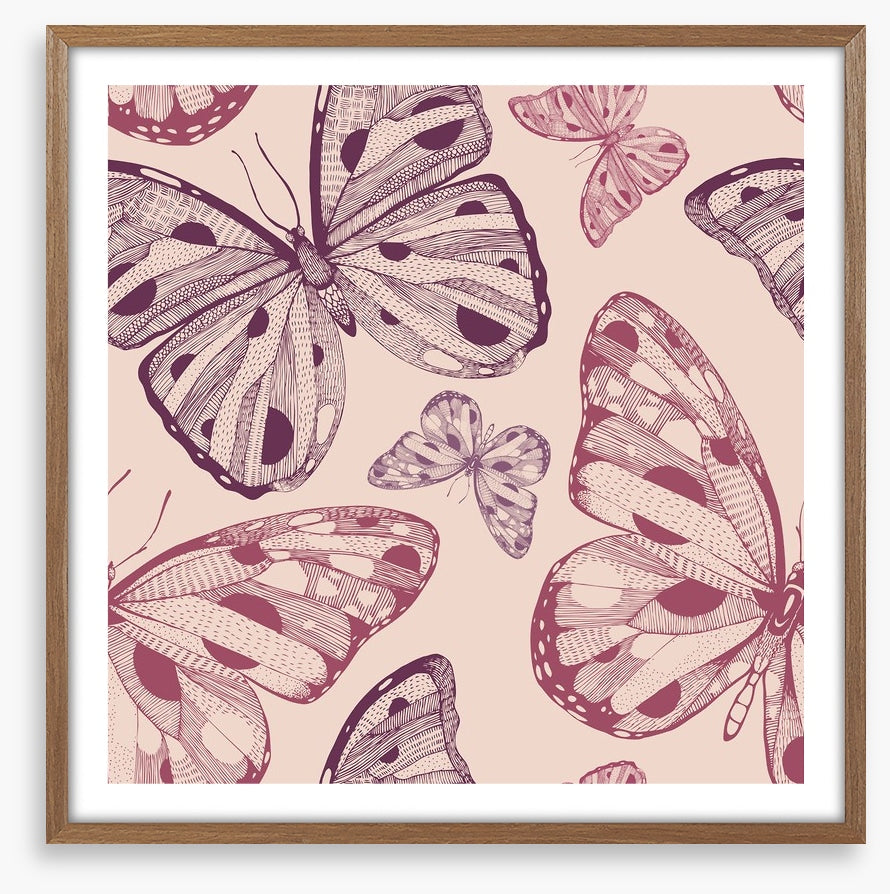 Butterflies