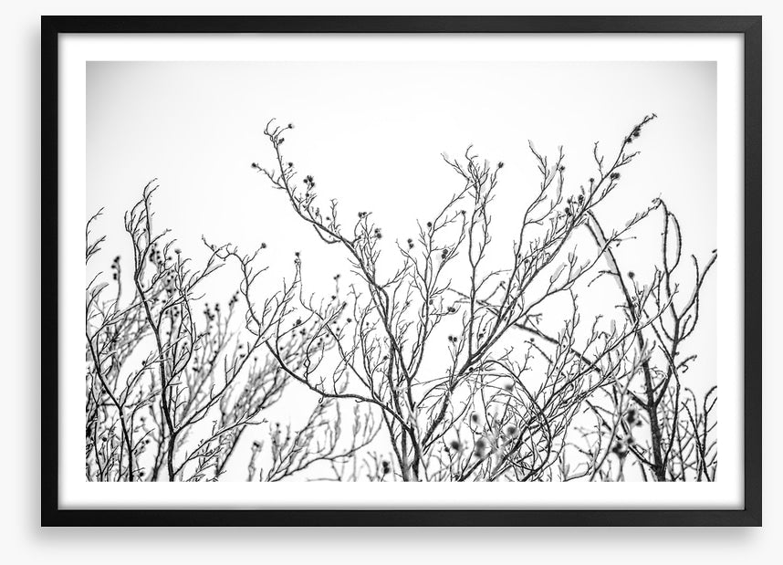 A touch of frost