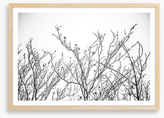 A touch of frost