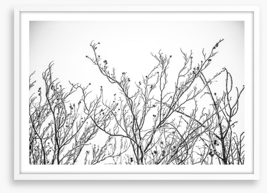 A touch of frost
