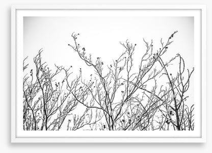 A touch of frost