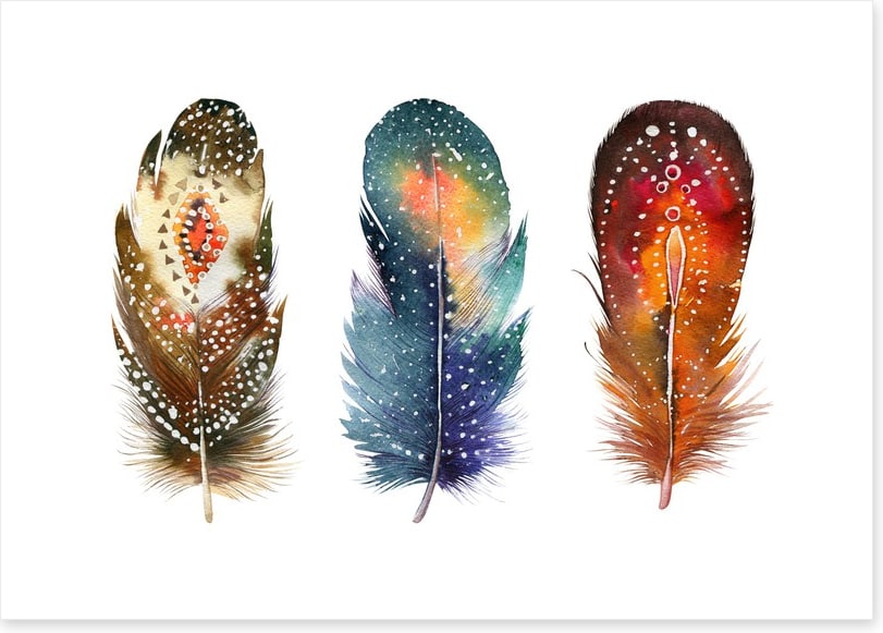 Feather me native