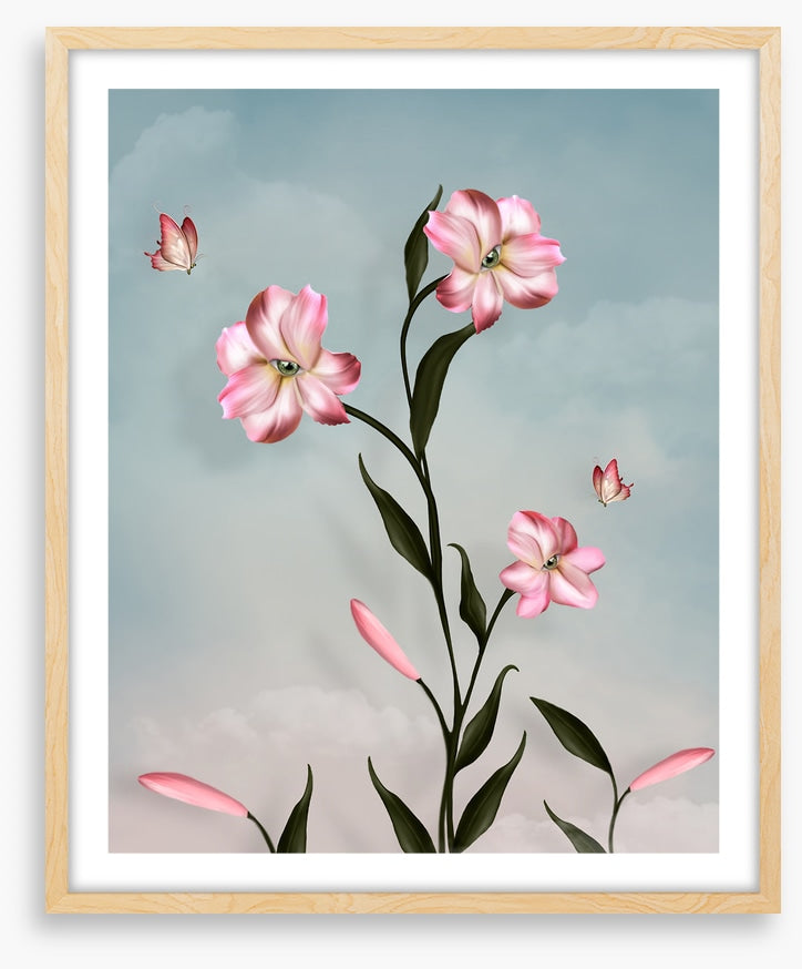 Peeping petal butterflies