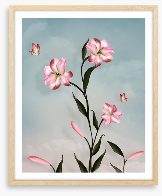 Peeping petal butterflies