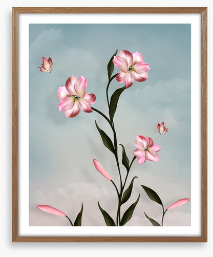 Peeping petal butterflies