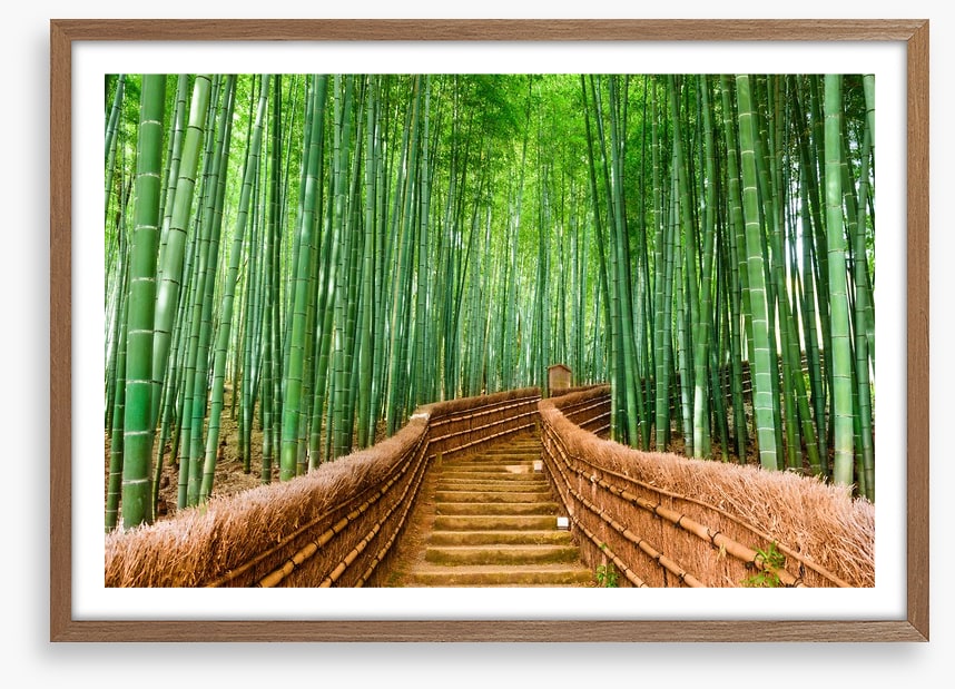 Bamboo forest path, Kyoto