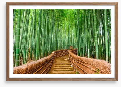 Bamboo forest path, Kyoto