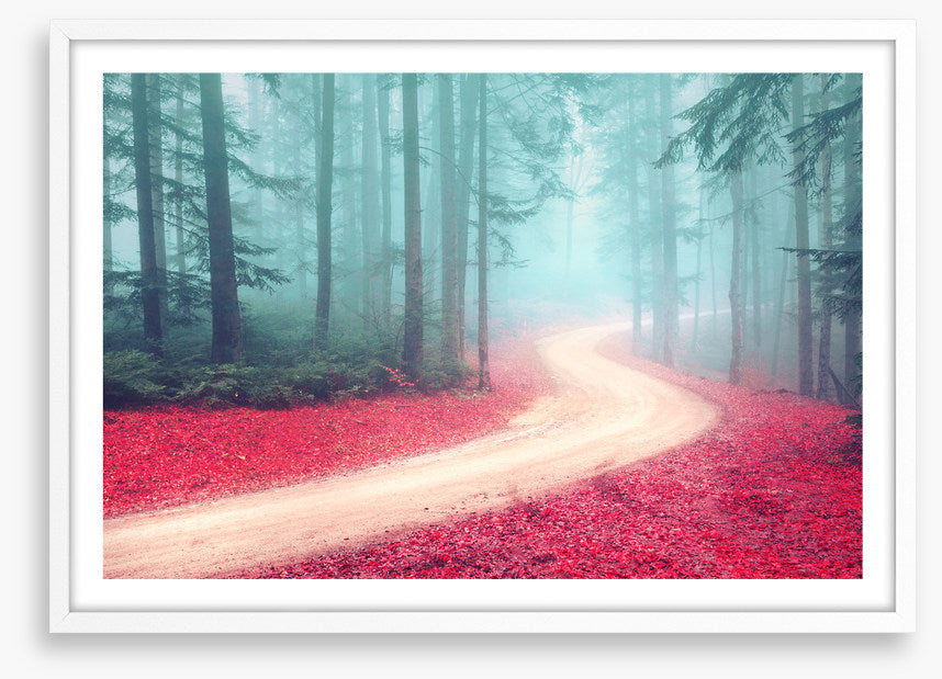 Forests