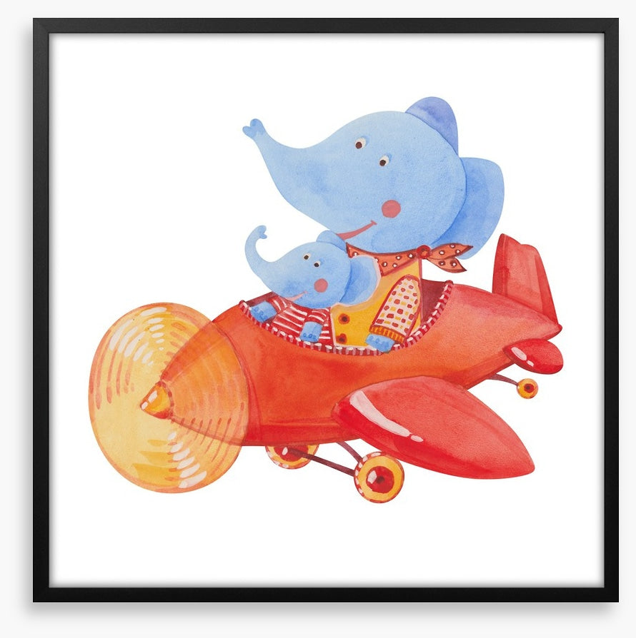 Elephants