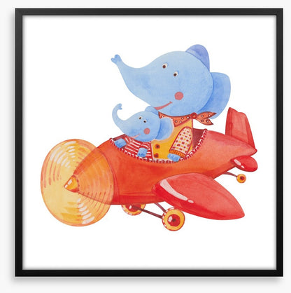 Elephants