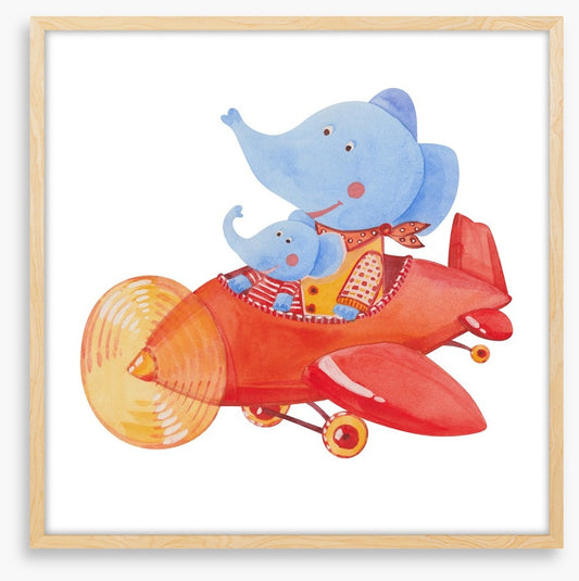 Elephants