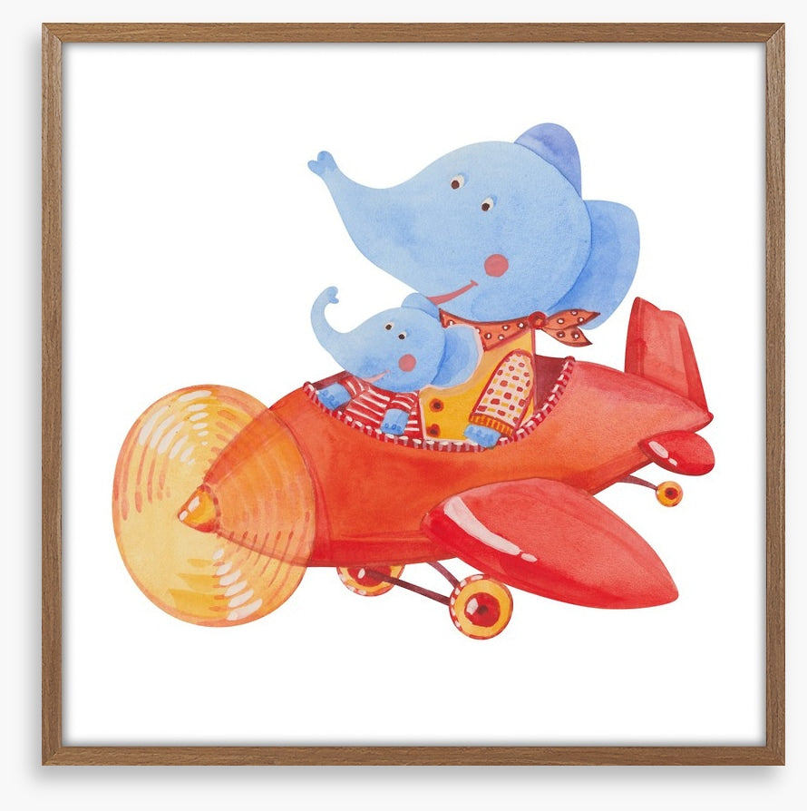 Elephants