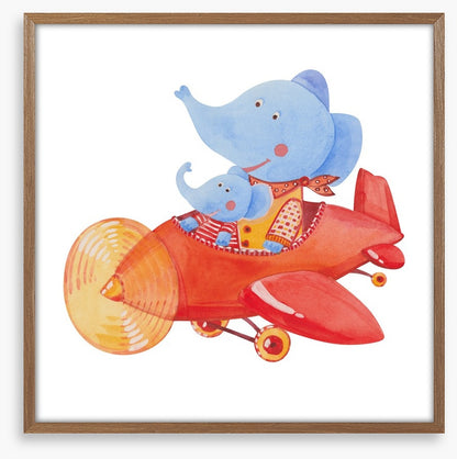 Elephants