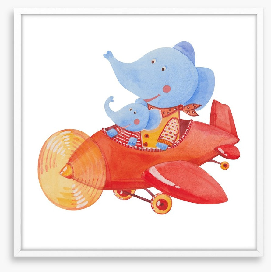 Elephants
