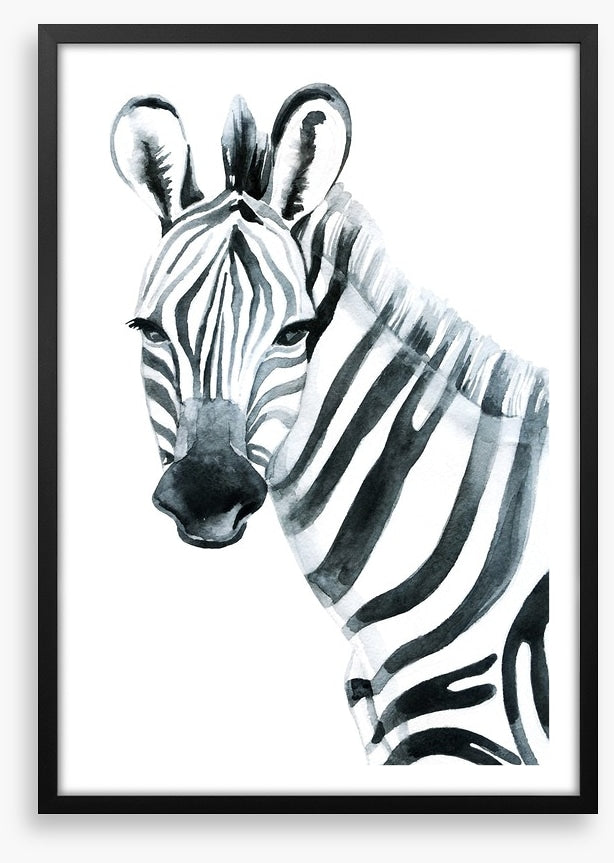 Watercolour zebra