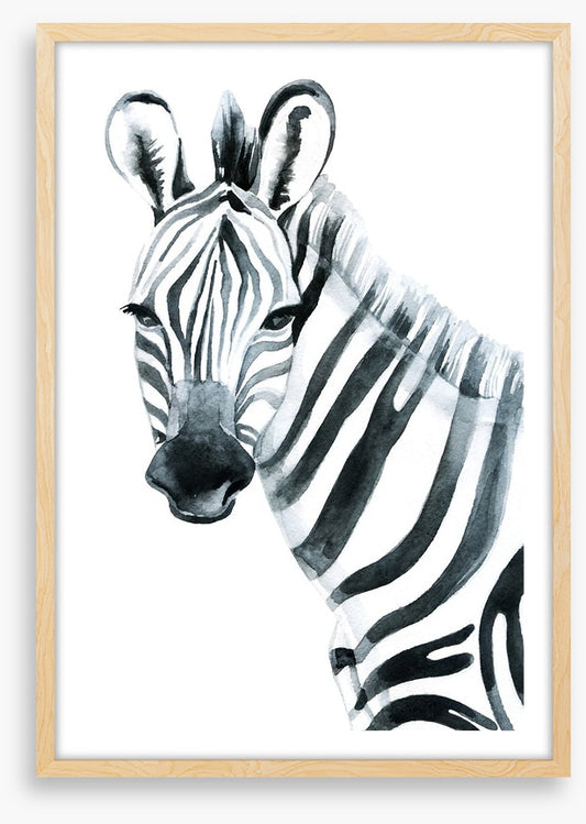 Watercolour zebra