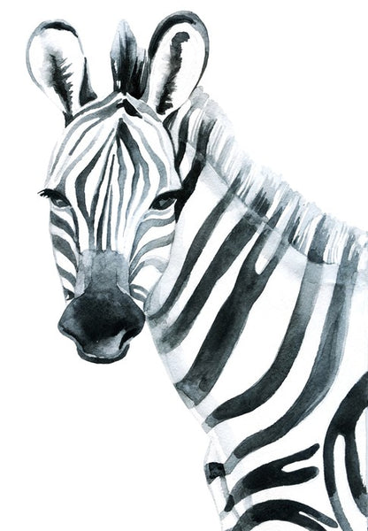 Watercolour zebra